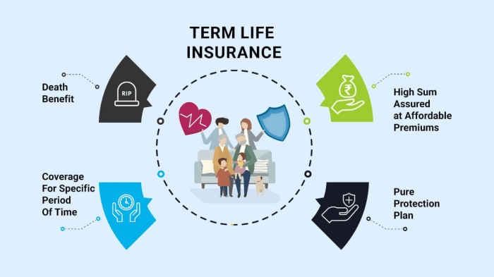 Term Life Insurance: The Only Guide You Need - Wealth Nation