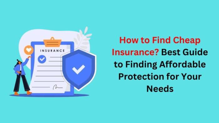 How to Find Cheap Insurance? Best Guide to Finding Affordable ...