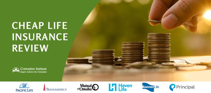 Cheap Life Insurance: The Best Options for Your Budget and Needs : Care ...