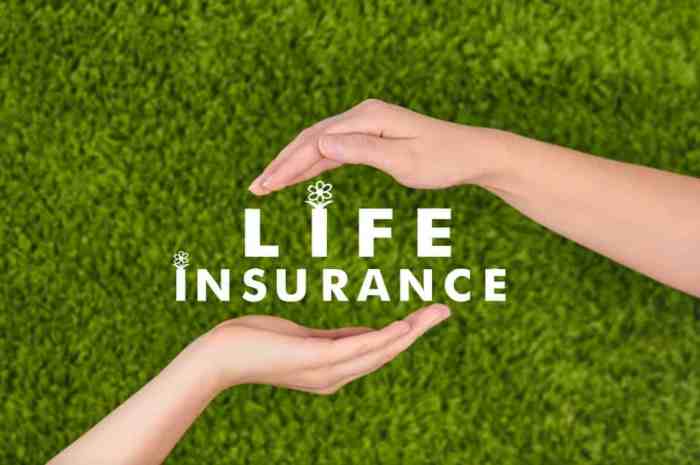 Affordable Life Insurance - Cheapest Life Insurance Companies | Simple ...